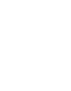 White BCS Logo